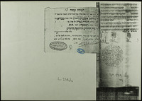 תעודת קבלה : ... לשם כוללות אשכנזים (וואהלין) בעה"ק טבריא ...