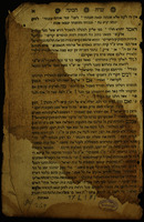 שדה תבונה
