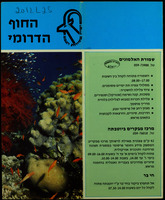 החוף הדרומי.