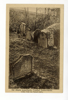 General view of cemetery with several gravestones. .