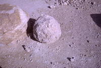 הגדה המערבית, הרודיון