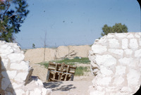 סיור ביישוב בית אשל בנגב