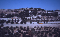 כנסיית כל העמים (כל האומות) בירושלים