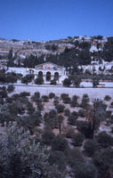 כנסיית כל האומות (גם: כנסיית כל העמים)