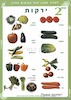 לאכול מגוון מכל קבוצות המזון - ירקות – הספרייה הלאומית