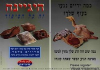כמה ידיים נגעו בעוף שלך? – הספרייה הלאומית