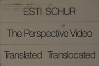 Esti Schur - The Perspective Video.