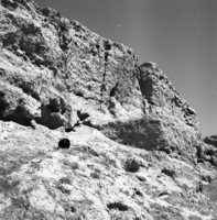 תל אל-פארעה (שרוחן).
