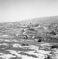 חורבת רימון (קיבוץ להב).