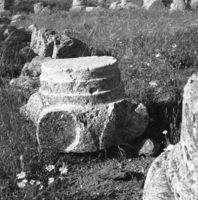 חורבת אום על עמוד (שדה עמודים).