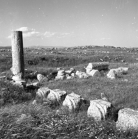 חורבת אום על עמוד (שדה עמודים).