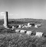 חורבת אום על עמוד (שדה עמודים).