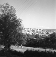 כפר כנא.