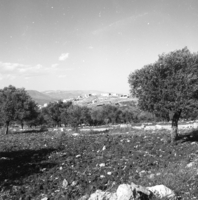 עילבון.
