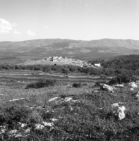 עילבון.