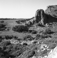 מערות הכרמל, פרופ' משה שטקליס.