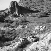 מערות הכרמל, פרופ' משה שטקליס.