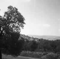 כפר כנא.