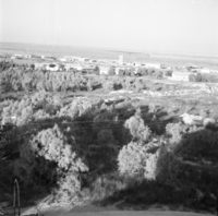 מגן.