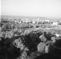 מגן.