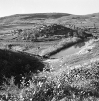 קרני חיטין.