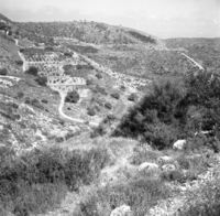 בית אורן.