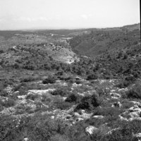 בית אורן.