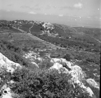 בית אורן.