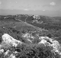 בית אורן.