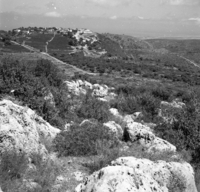 בית אורן.
