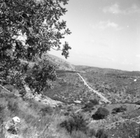בית אורן.