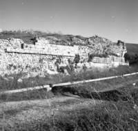 איילת השחר.