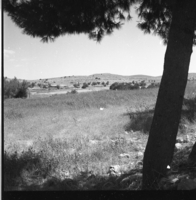 תל ג'דידה (תל גודד).