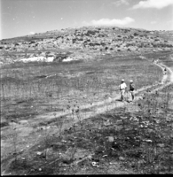 תל ג'דידה (תל גודד).