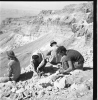 חפירה ארכיאולוגית במערות נחל צאלים, יוחנן אהרוני.