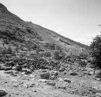חפירה ארכיאולוגית באיראן, Theodore Wertime.