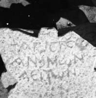 נירים.