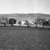 כפר מנדא, עצמון.