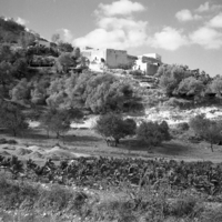 ואדי ערה.