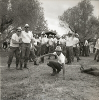 צעדה 1966.