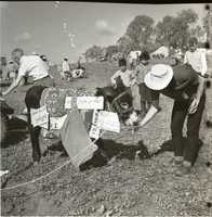 צעדה 1964, צועד מאכיל חמור.