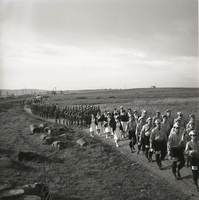 צעדה 1963, נציגים זרים צועדים.