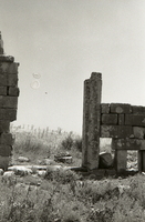שרידי קדש נפתלי.