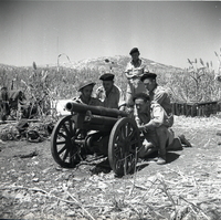 חיילי חיל התותחנים בעמדות מול הכוחות המצריים בפלוג'ה.