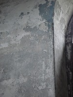 Photograph of: Synagogue in Alytus, Prayer hall.