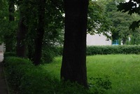 Photograph of: Cemetery Chapel (now synagogue) in Klaipėda.