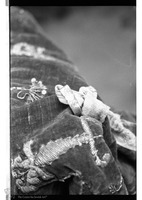Photograph of: Textile.