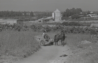 מושב בצרה בשרון.
