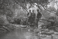 שמורת נחל דן.