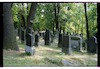 Photograph of: Jewish cemetery in Potsdam.